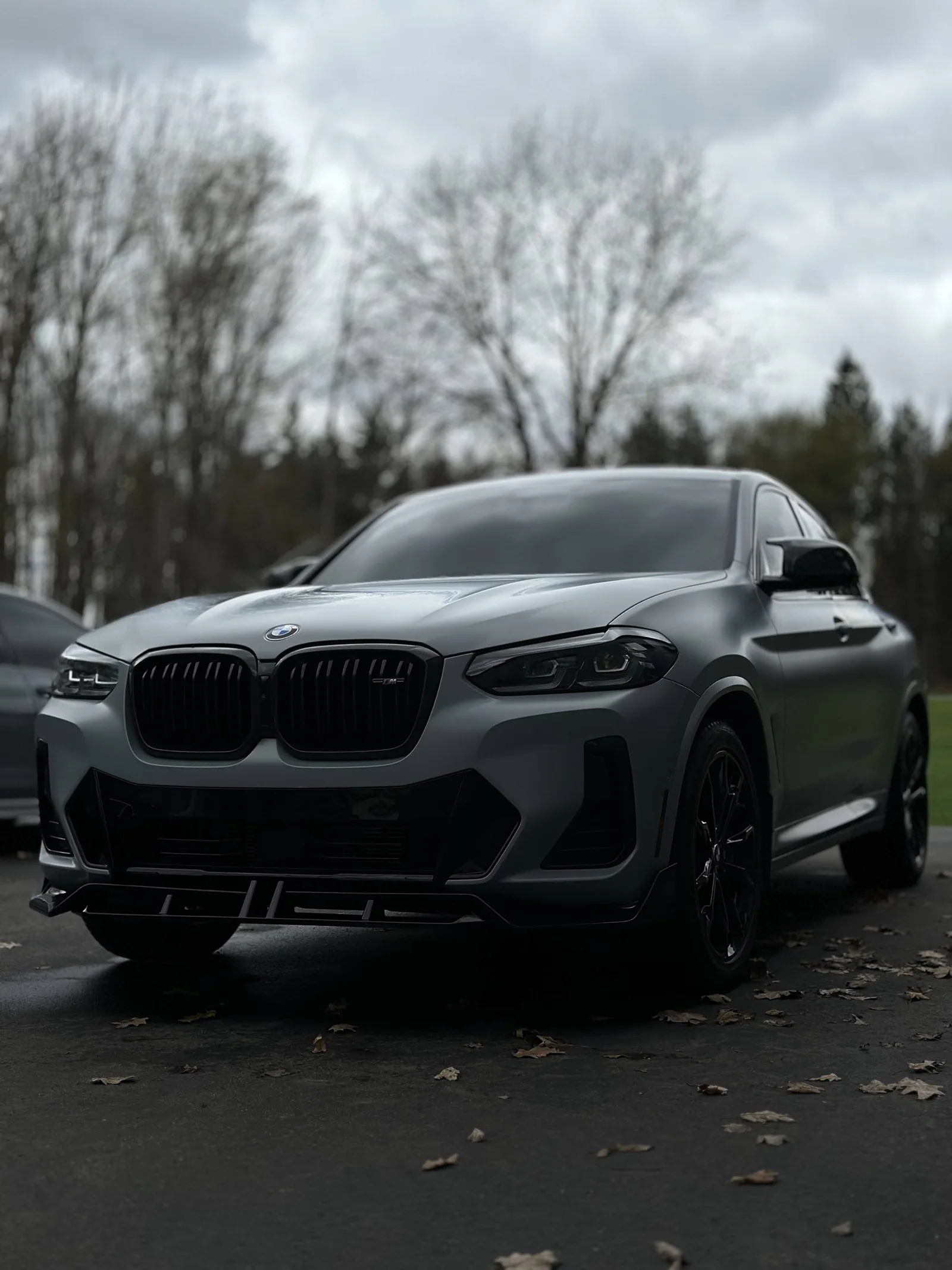 Matte gray BMW X4 M after an exterior detail